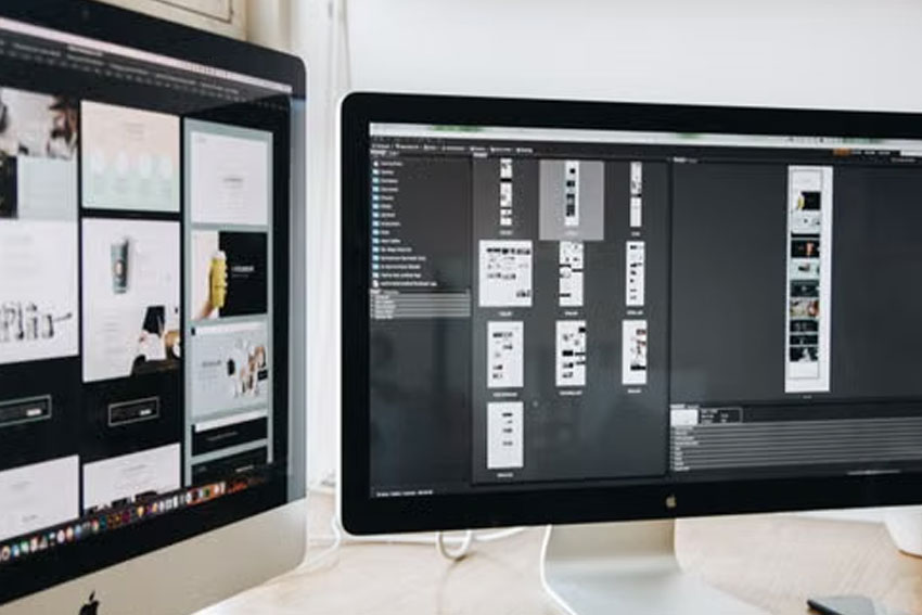 Web Design & Development